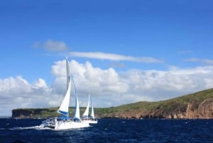 Mauritius: crociera in catamarano all'Isola Gabriel e all'Isola Flat