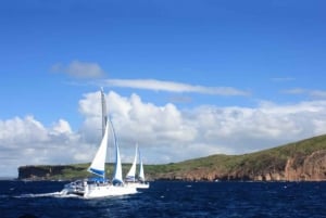 Mauritius: crociera in catamarano all'Isola Gabriel e all'Isola Flat