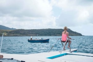 Mauritius: Catamaran Cruise to Ile aux Cerfs with BBQ Lunch