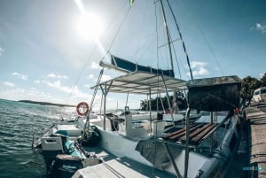 Mauritius: Catamaran Cruise to Ile aux Cerfs with BBQ Lunch