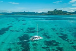 Mauritius: Catamaran Cruise to Ile aux Cerfs with BBQ Lunch