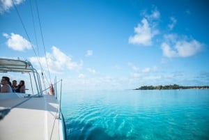 Mauritius: Catamaran Cruise to Ile aux Cerfs with BBQ Lunch