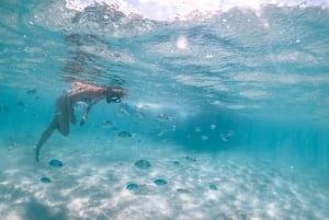 Mauritius: Catamaran Cruise to Ile aux Cerfs with BBQ Lunch