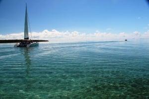 Mauritius: Ile aux Cerfs by Catamaran with lunch and drinks