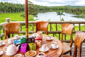 Mauritius: Crocodile Park and Tea Factory Tour with Tasting