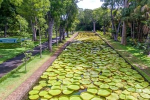 Mauritius: Dodo Trail Tour with Lunch