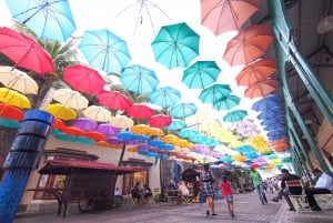 Dodo’s Trail: Discover Mauritius’ Heritage & Creole Lunch