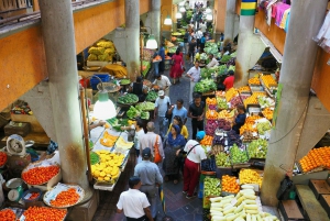 Dodo’s Trail: Discover Mauritius’ Heritage & Creole Lunch