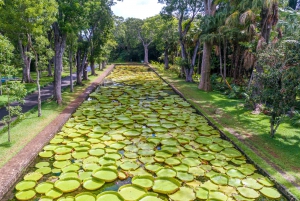 Dodo’s Trail: Discover Mauritius’ Heritage & Creole Lunch