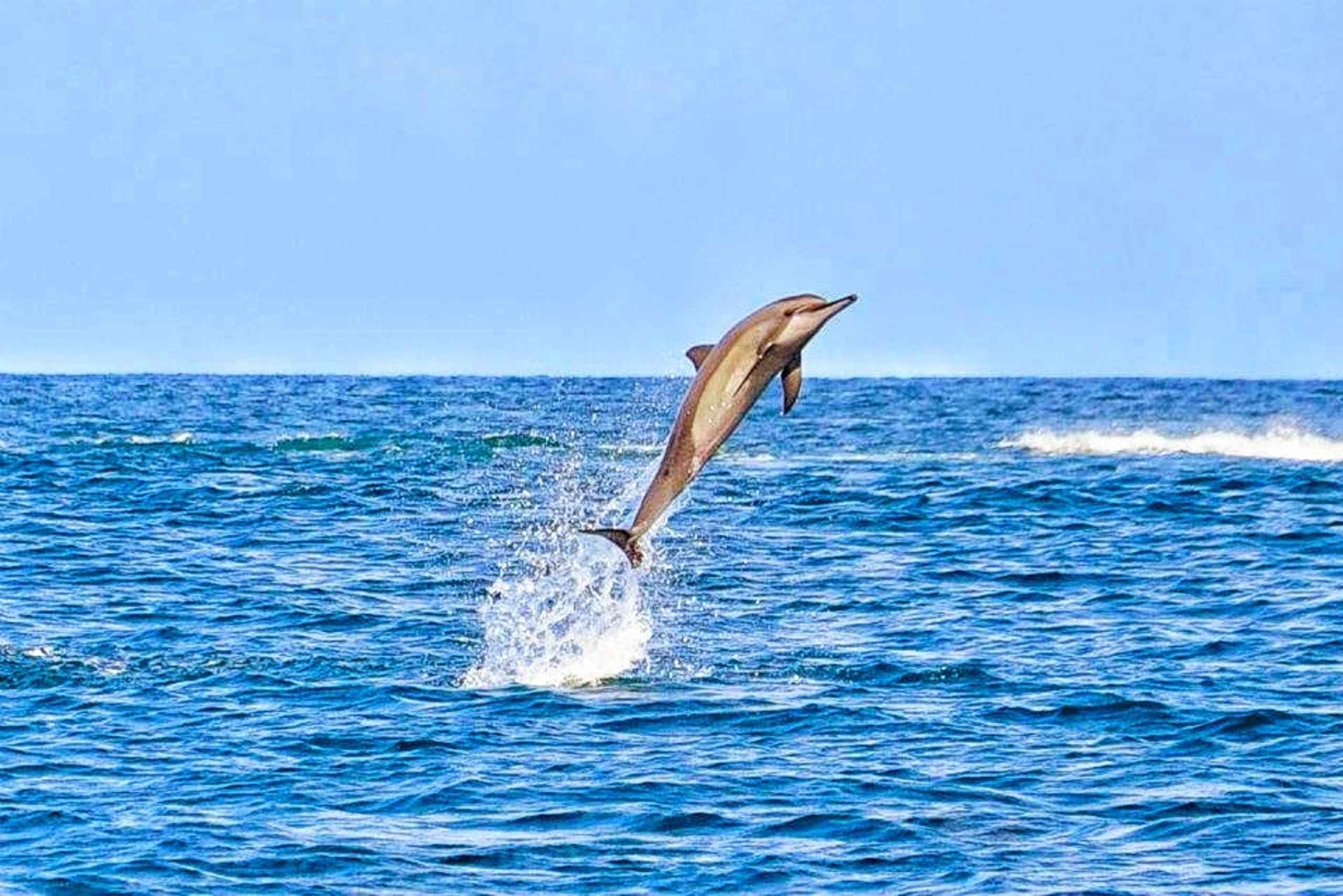 Mauritius Dolphin Encounter und Geographic Marvels Tour