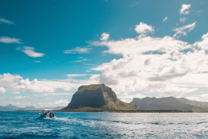 Mauritius: Møde med delfiner & Benitier Island