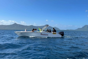 Mauritius: Møde med delfiner & Benitier Island