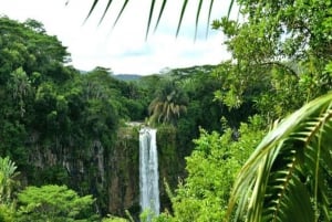 Mauritius: Båttur med delfiner och 7 färgade jordklot