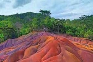Mauritius: tour in barca con incontro con i delfini e 7 terre colorate