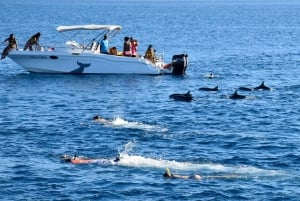 Mauricio: Encuentro con delfines, Trou aux Cerf y Grand Bassin