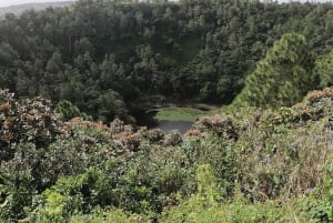 Mauricio: Encuentro con delfines, Trou aux Cerf y Grand Bassin