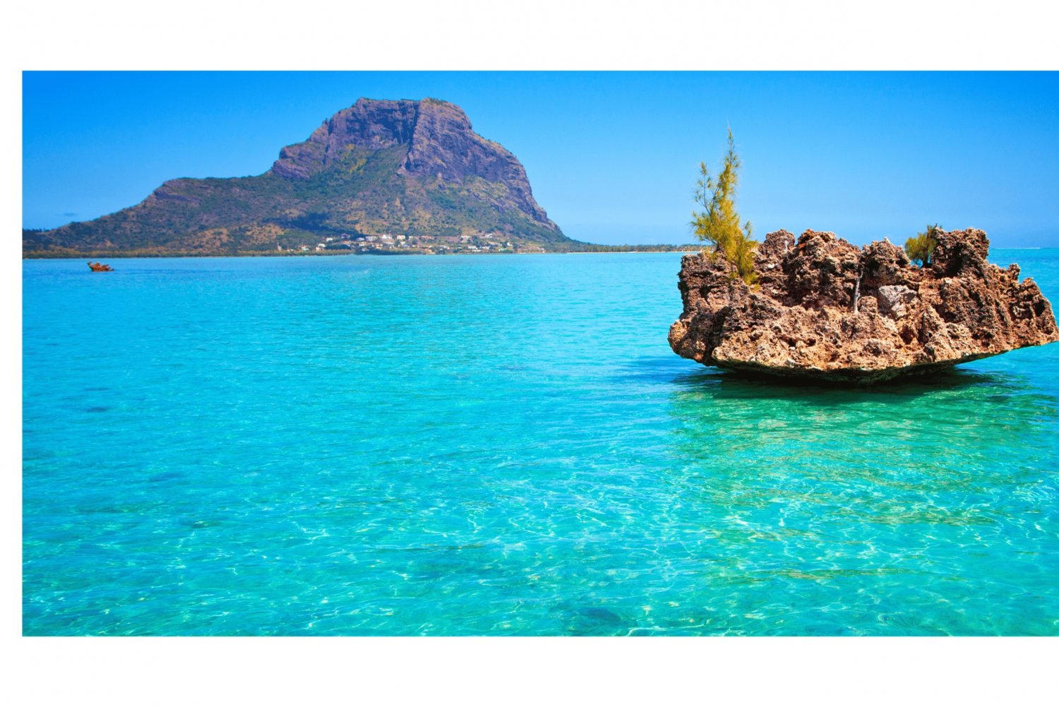 Mauritius: Delfinmøte og Benitier Island