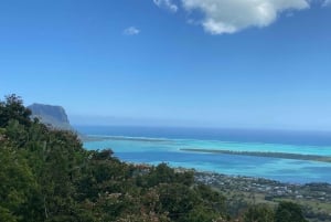 Mauritius: Dolphins watch half-day