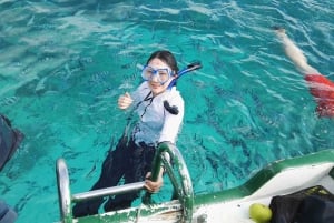 Mauritius: Delfiner ser halv dag