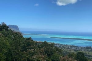 Mauritius: Delfiner ser halv dag