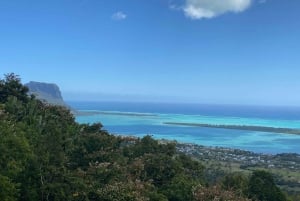Mauritius: Dolphins watch half-day