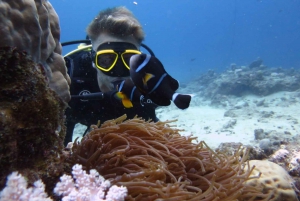 Mauritius: East Belle Mare Scuba Diving Tour