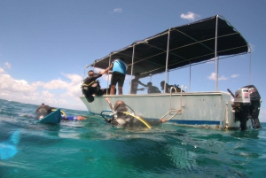 Mauritius: East Belle Mare Scuba Diving Tour