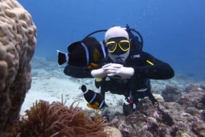 Mauritius: East Belle Mare Scuba Diving Tour