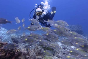 Mauritius: East Belle Mare Scuba Diving Tour