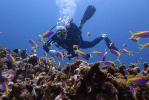 Mauritius: East Belle Mare Scuba Diving Tour