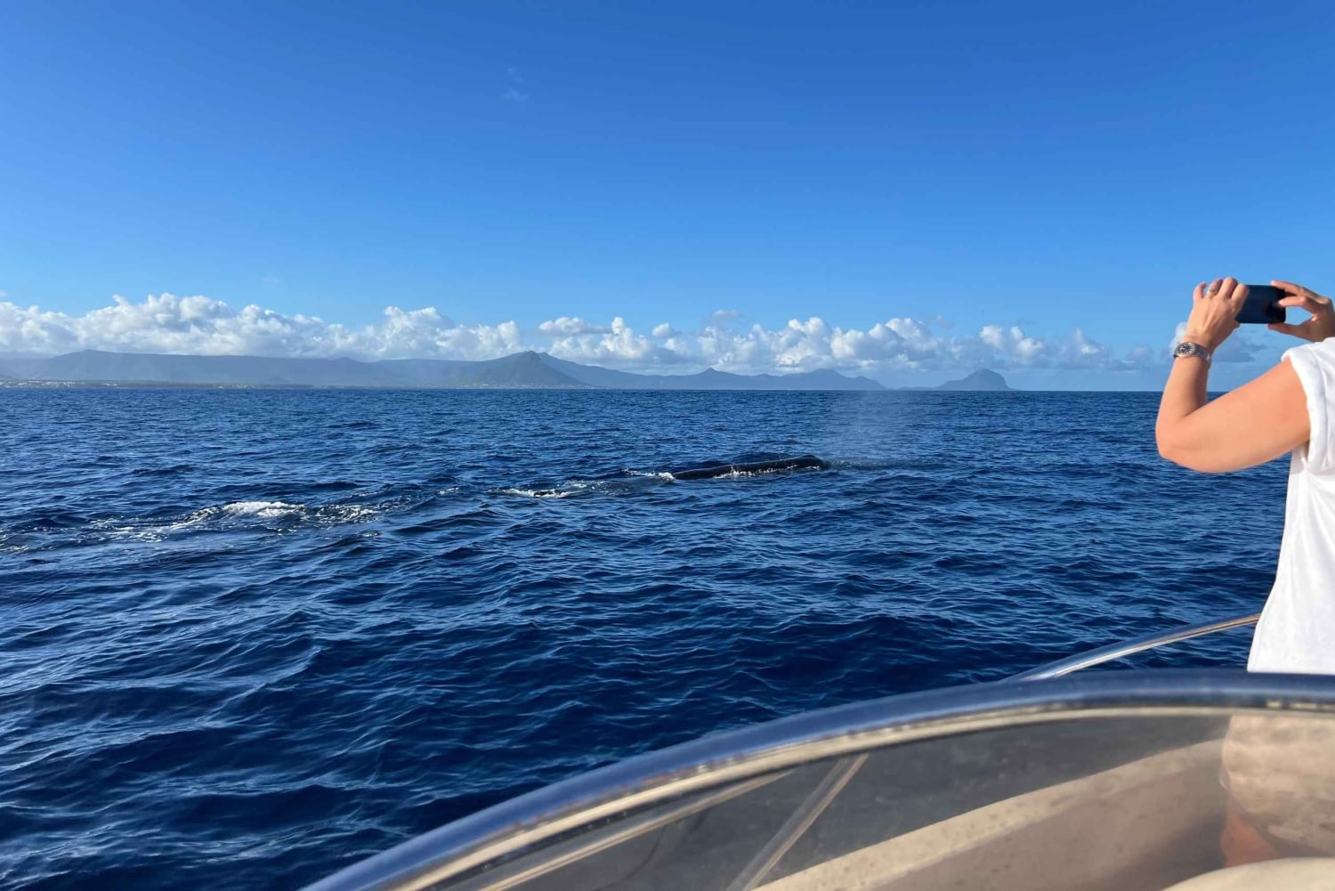 Mauritius: Miljøvennlig privat hvalsafari