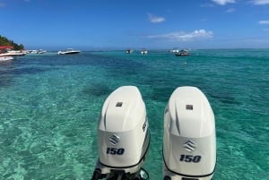 Mauritius: Eco-Friendly Private Whale Watching