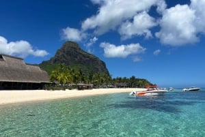 Mauritius: Eco-Friendly Private Whale Watching