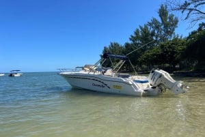 Mauritius: Miljøvennlig privat hvalsafari