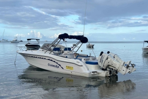 Mauritius: Miljøvennlig privat hvalsafari