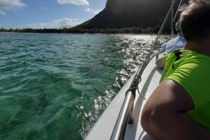 Mauritius Eco Whales Quest, 3-4 Stunden Expedition