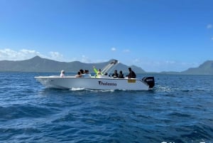 Mauritius Eco Whales Quest, 3-4 Stunden Expedition