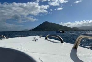 Mauritius Eco Whales Quest, 3-4 Stunden Expedition