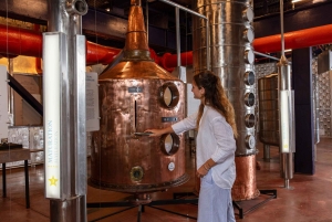 Mauritius: Entry Ticket to L'Aventure du Sucre