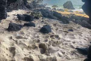 Etelä-Mauritius: Helppo vaellus kallioilla ja viidakossa piilotettuun vesiputoukseen
