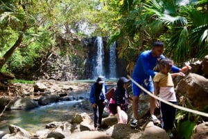 South of Mauritius: Exclusive Cliffside Hike & Natural Pool