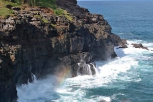 South of Mauritius: Exclusive Cliffside Hike & Natural Pool