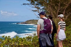 South of Mauritius: Exclusive Cliffside Hike & Natural Pool