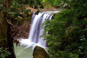 South of Mauritius: Exclusive Cliffside Hike & Natural Pool