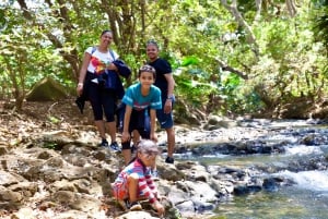 South of Mauritius: Exclusive Cliffside Hike & Natural Pool