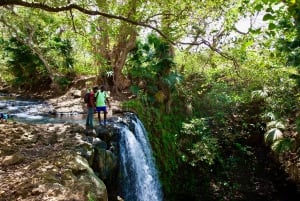 South of Mauritius: Exclusive Cliffside Hike & Natural Pool