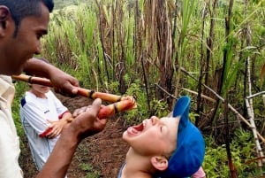 South of Mauritius: Exclusive Cliffside Hike & Natural Pool