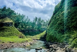 South of Mauritius: Exclusive Cliffside Hike & Natural Pool