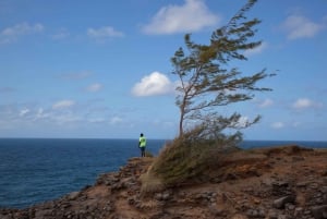 South of Mauritius: Exclusive Cliffside Hike & Natural Pool