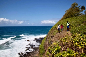 South of Mauritius: Exclusive Cliffside Hike & Natural Pool